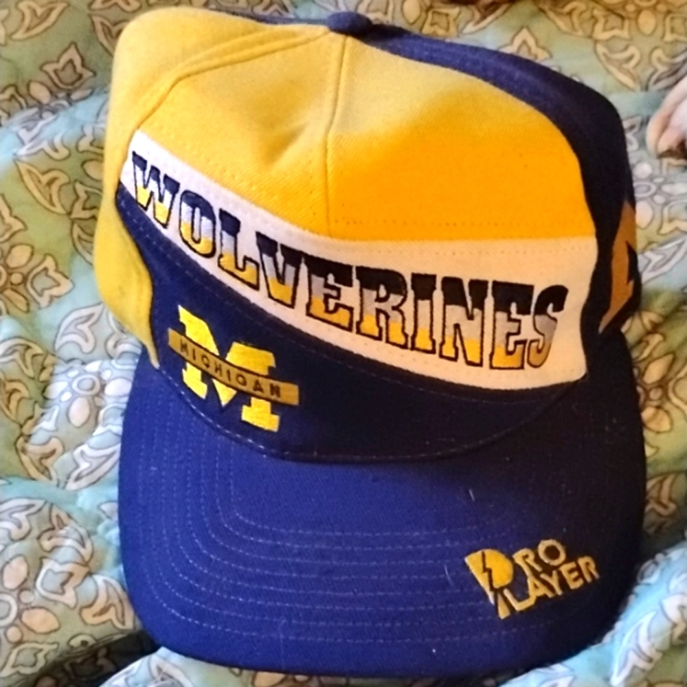 Michigan Wolverines Hat